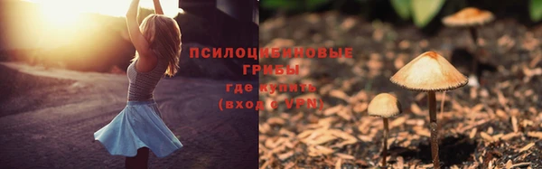 бошки Новодвинск