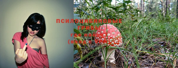 альфа пвп Новозыбков