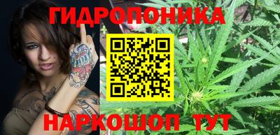 наркотики Гусев