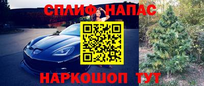 стафф Донской