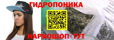 стафф Донской
