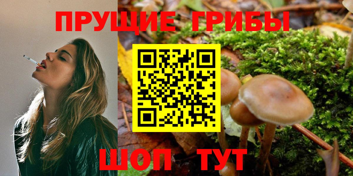 Псилоцибиновые грибы прущие грибы  Псилоцибиновые грибы мухоморы  Вход с VPN  Кандалакша 