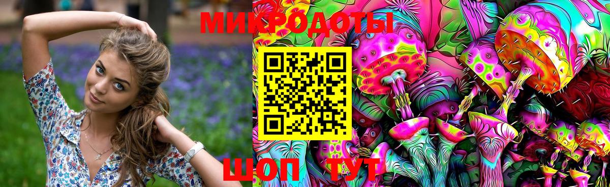 Галлюциногенные грибы Psilocybine cubensis Кандалакша