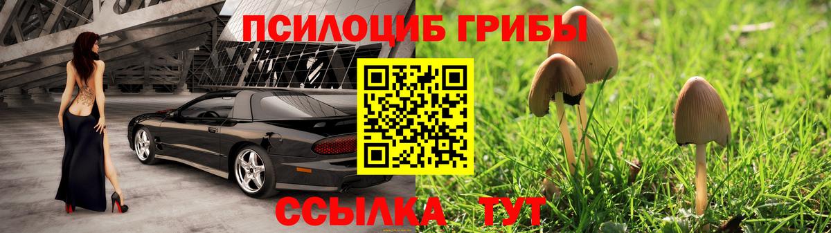 Галлюциногенные грибы Psilocybine cubensis  Галлюциногенные грибы MAGIC MUSHROOMS  Кандалакша 